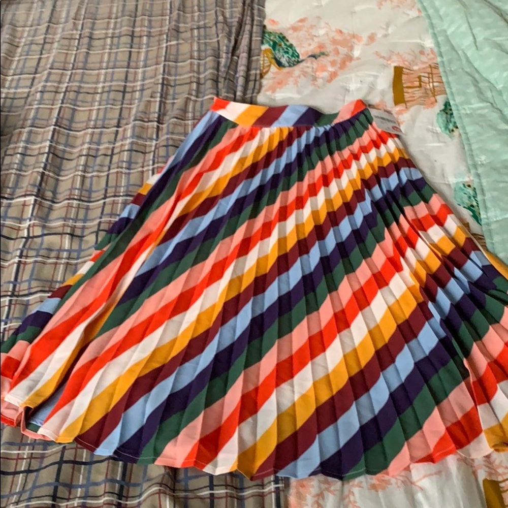 Pleated rainbow skirt